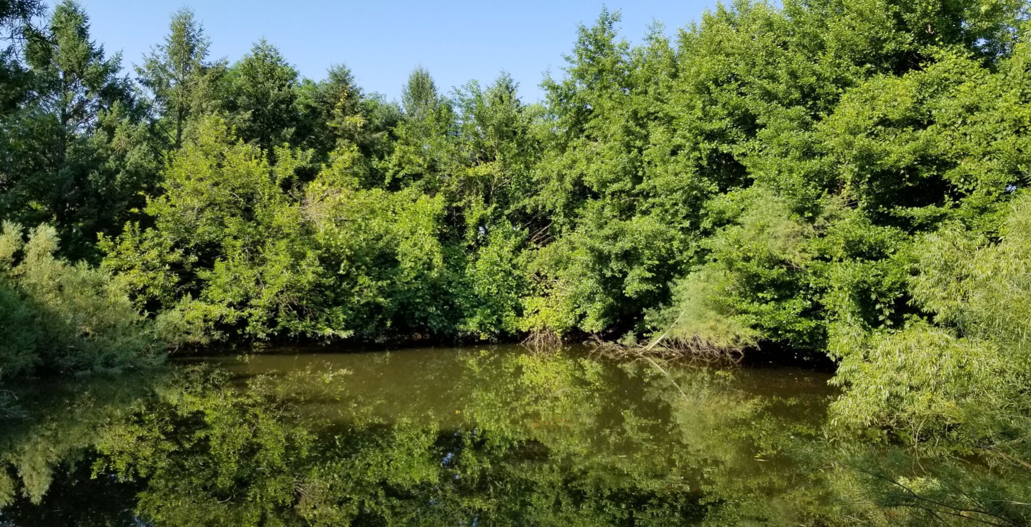 20210730_103335.jpg